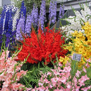 Chelsea Flower Show