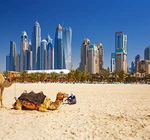 Dubai Stopover