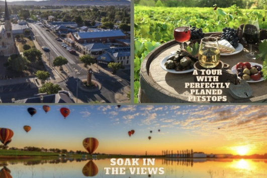 NSW WINERY TOUR