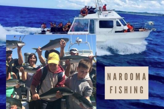 NSW Southern Adventure Tour